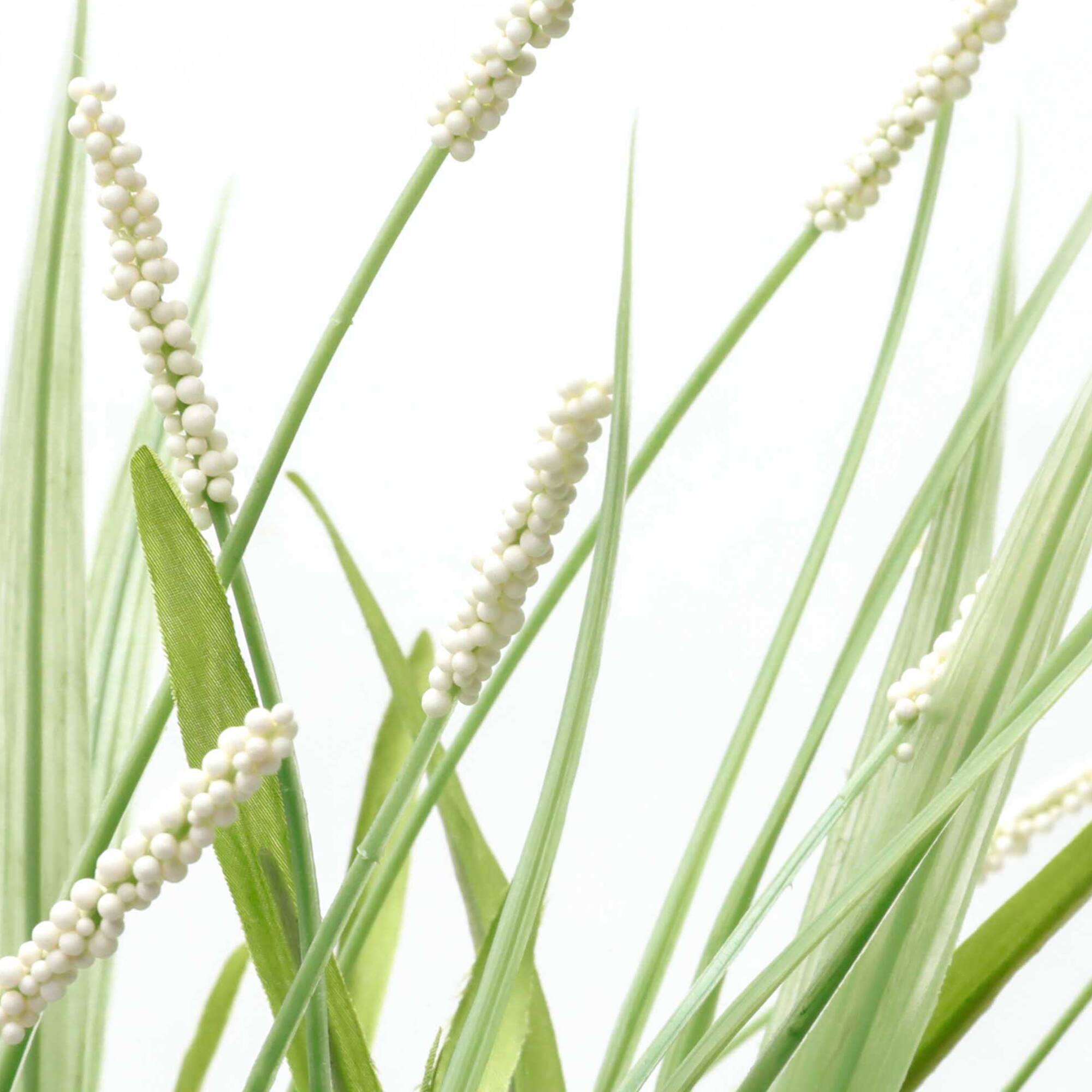 19" Green & Cream Onion Grass & Berry Bush by Ashland®